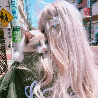 亚搏登入口app截图