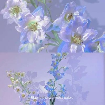 亚洲体育官网登录