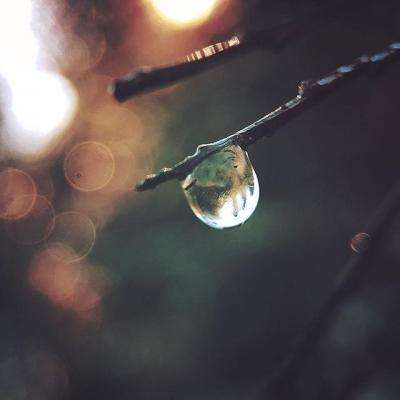 bd半岛·体育中国官方网站